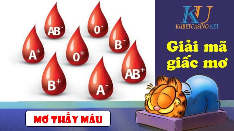 Mơ Thấy Máu Đánh Con Gì? Điềm Lành Hay Dữ?