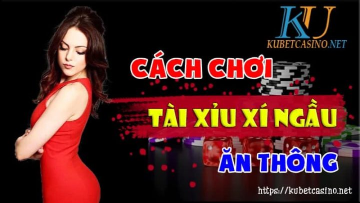 Cách chơi tài xỉu xí ngầu
