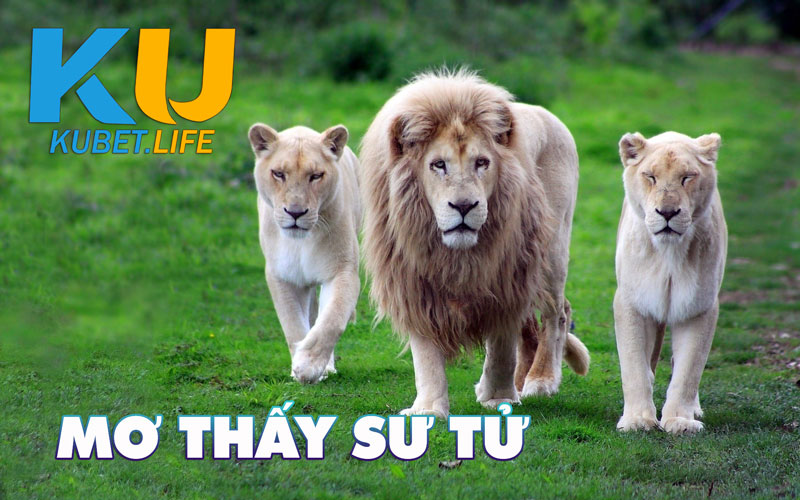 MO THAY SU TU3