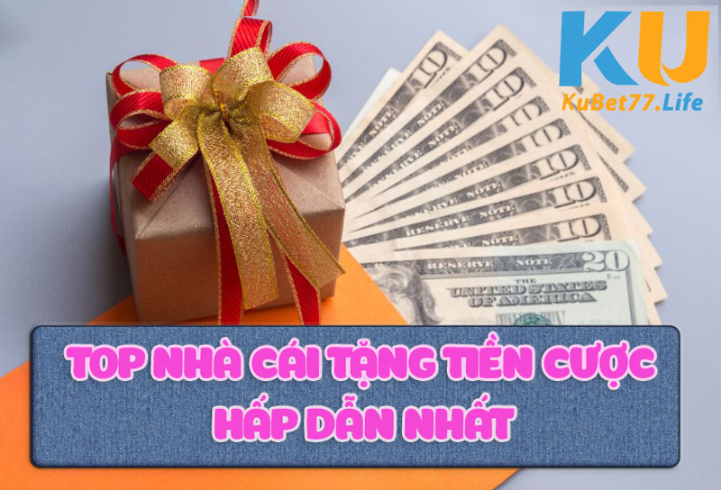 TOP NHA CAI